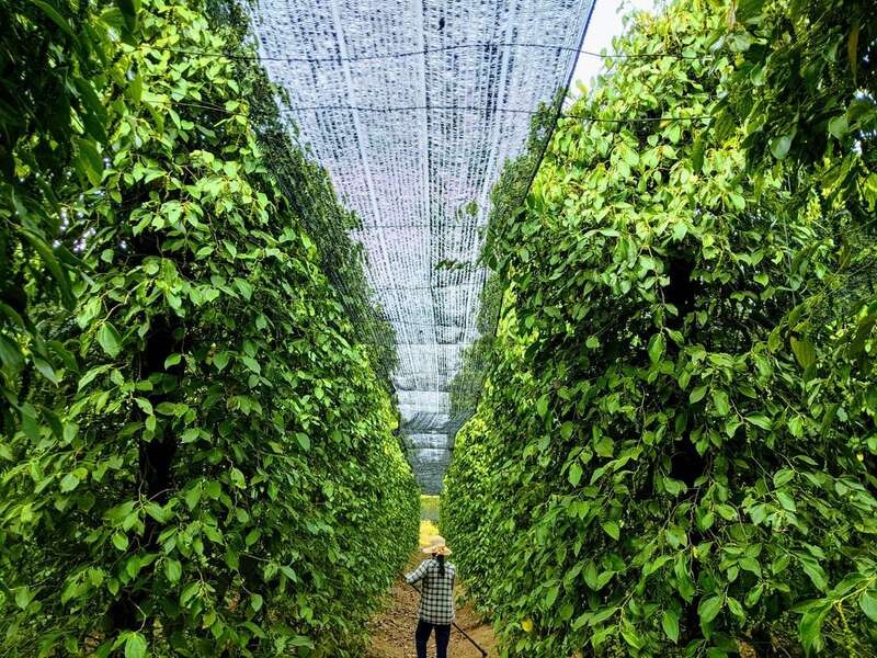 riverside-to-riviera-private-kampot-and-kep-day-tour2.jpg (250 KB)