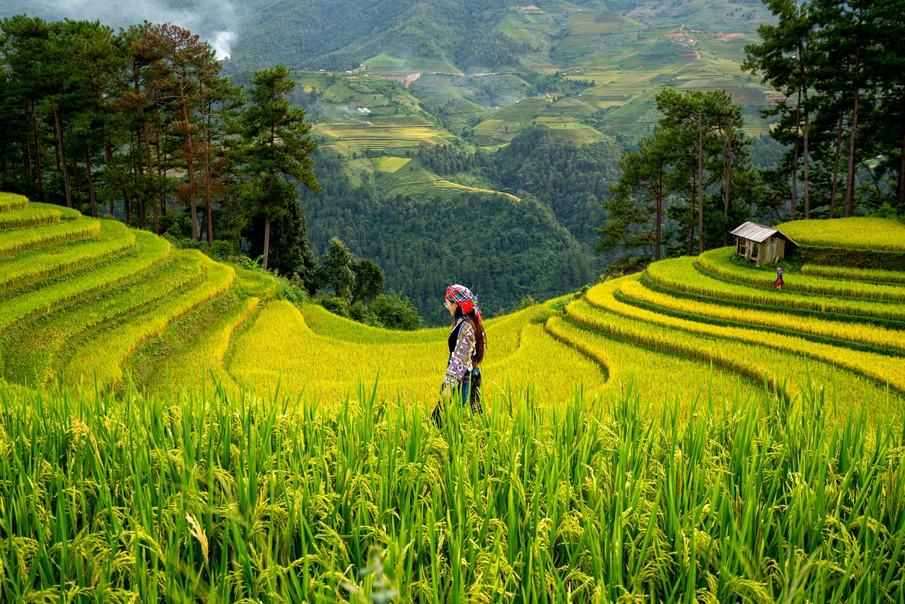 tailored-journeys-how-to-explore-vietnam-at-your-own-pace3.jpg (558 KB)