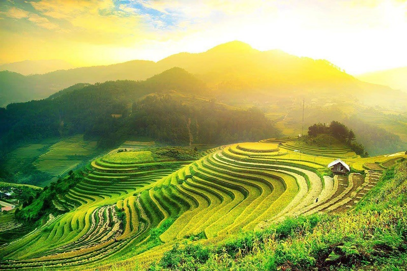 Lush green rice terraces and traditional stilt houses in Mai Chau valley